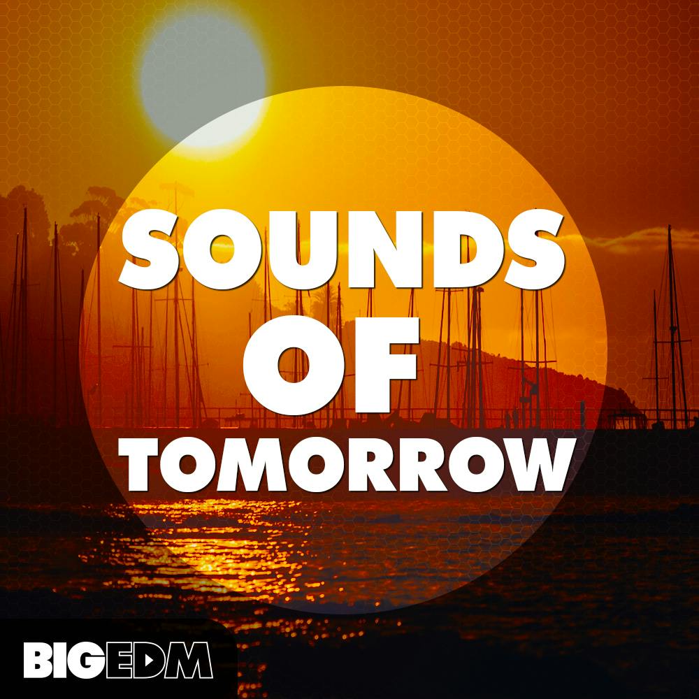 Big Edm Future Bounce Sounds 3